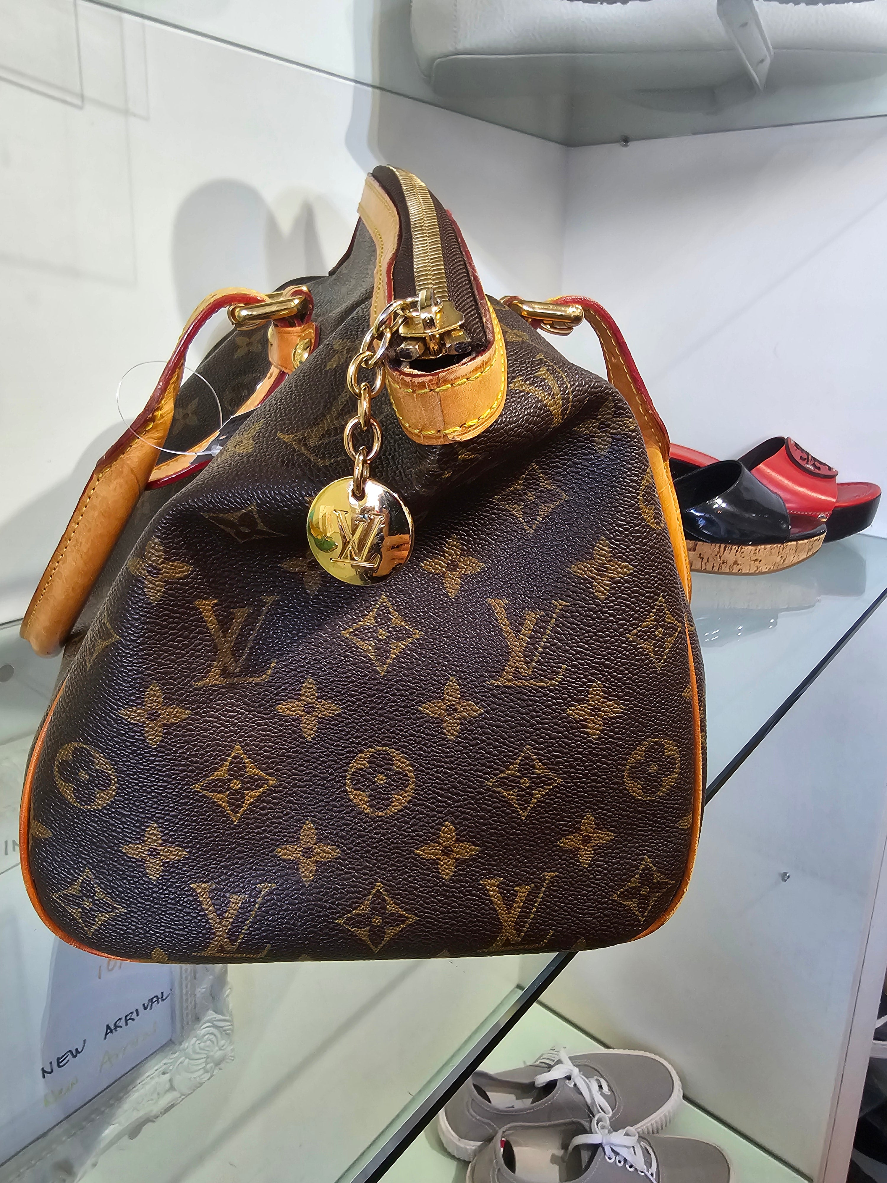 Louis Vuitton classic handbag